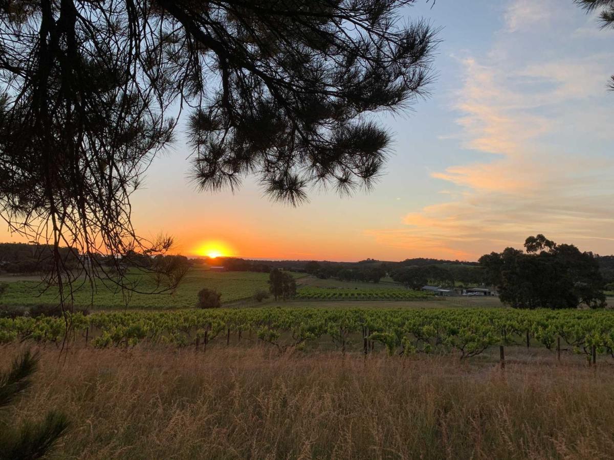 Willa Bella Cosa Mclaren Vale Zewnętrze zdjęcie